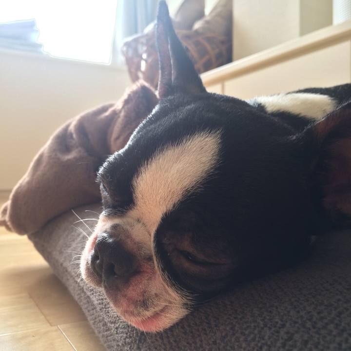 04559d02 02e1 4d3e a7a7 24e46a3eceee