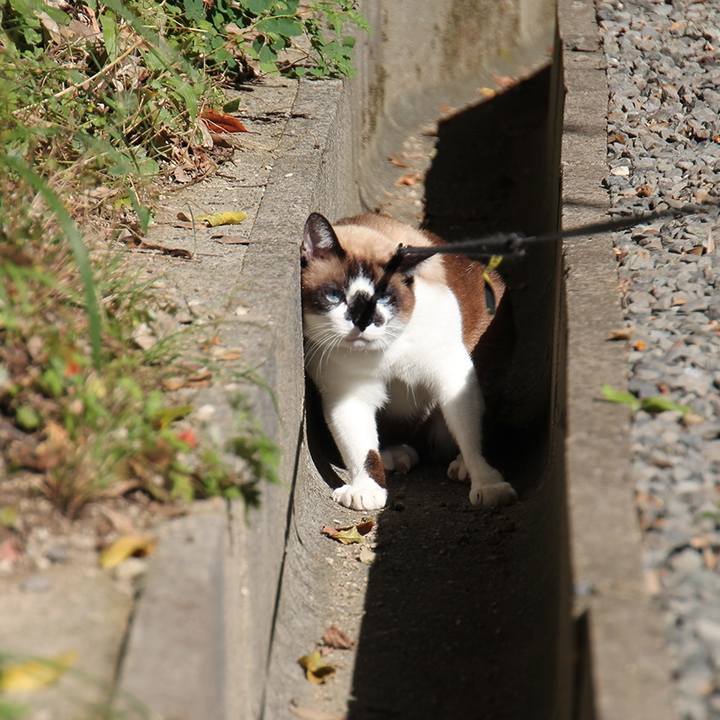 04559e2c 62c4 4932 94d1 167d4f40c3d1