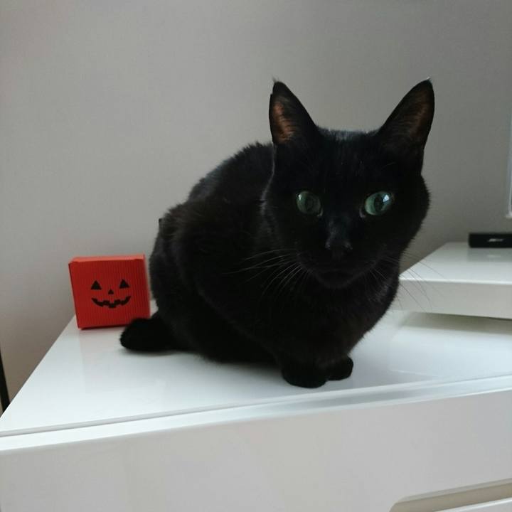 0455ac10 f170 4c31 9f96 c458f6e288aa