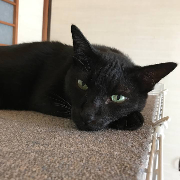 04561d1a 796f 491d a3f8 b2c8afa70f45