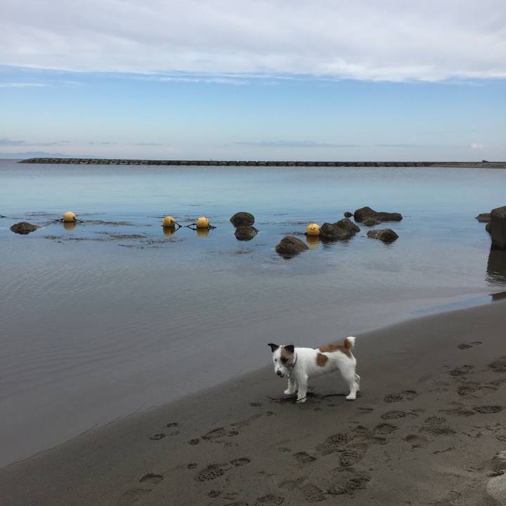 045649d6 bc70 43ed b0fe b6000690e063