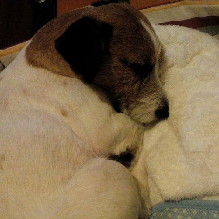 0456c7a7 b811 4133 8e71 440313d2b995