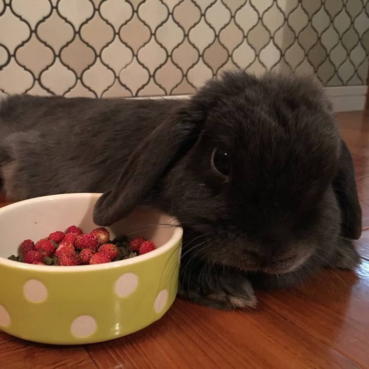 045798f1 6872 4cb6 af56 08e5f01bb138