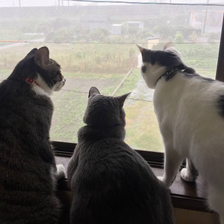 0457b666 227e 4be4 b155 f058ba7c9d70