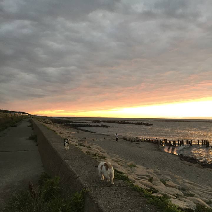 0457c55b 64de 492a 9728 4409363dddb8