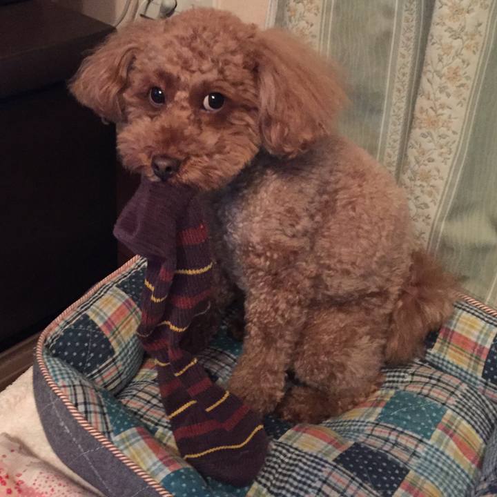 04583e80 9191 4e97 9fca ac0597dd515d