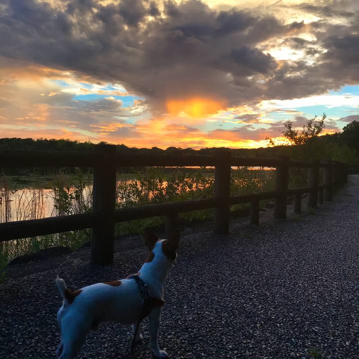 0458b5ec 8830 4082 9851 a94252cecd99