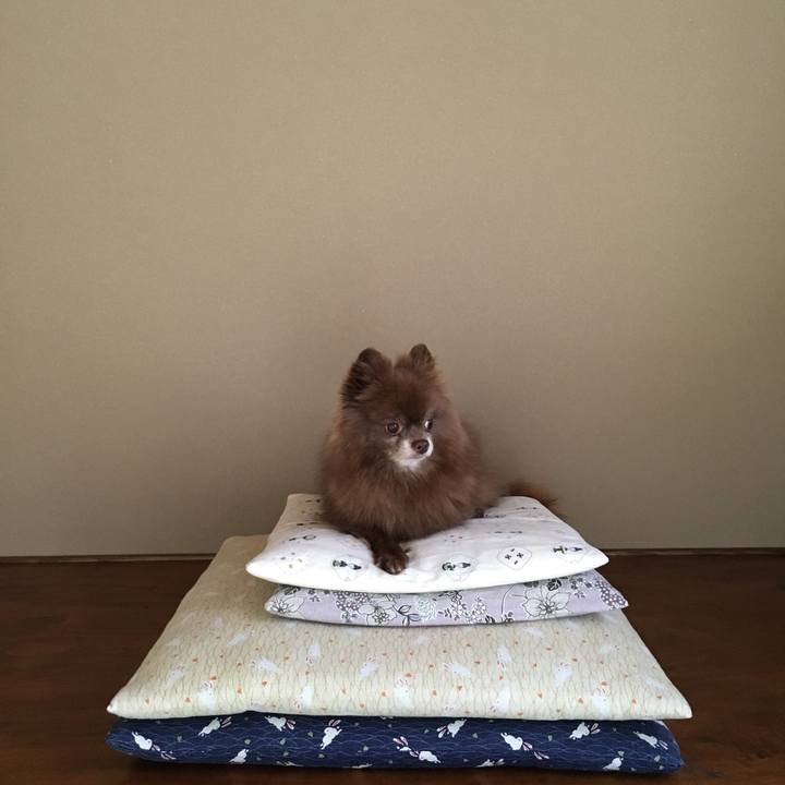 0458cb54 6018 453a ab0e 5af7d1c92336