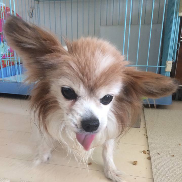 0458ddc6 c738 4146 9945 5a7198300f95