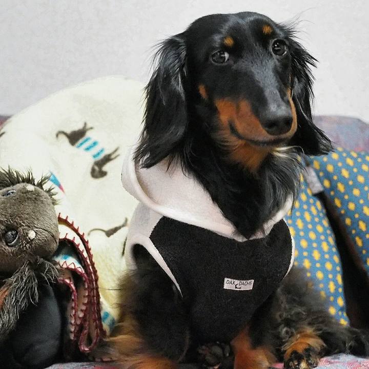 04596951 be6e 4209 86ae 00040f68c8b1