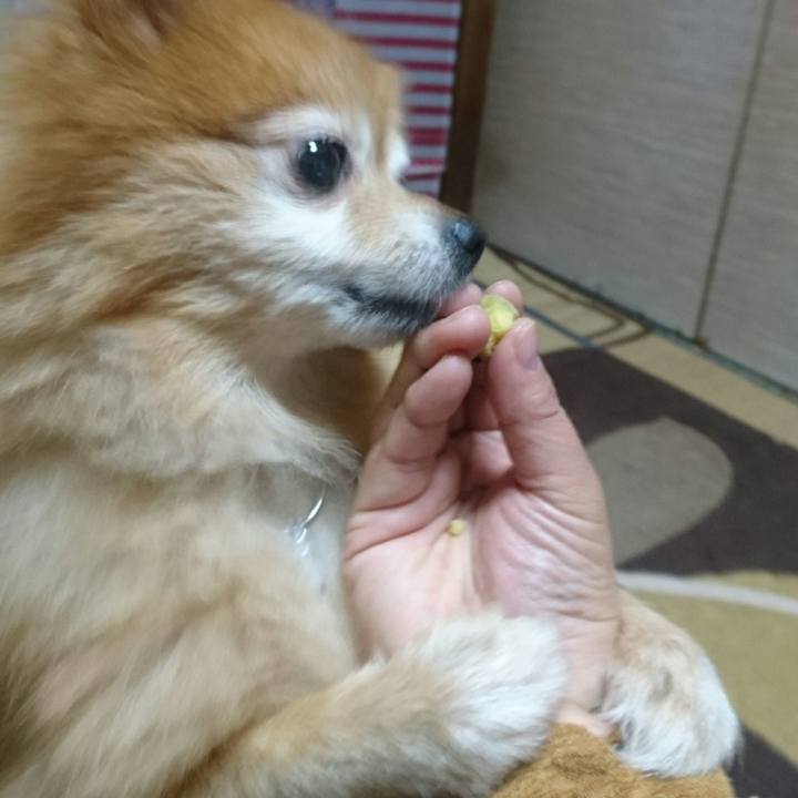 045998b7 18a8 4202 a988 64bd9ff3b376