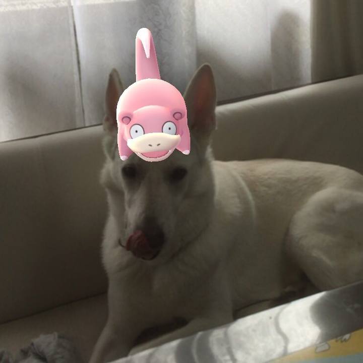 04599a2d e575 4691 9461 f3e517d1b4fe