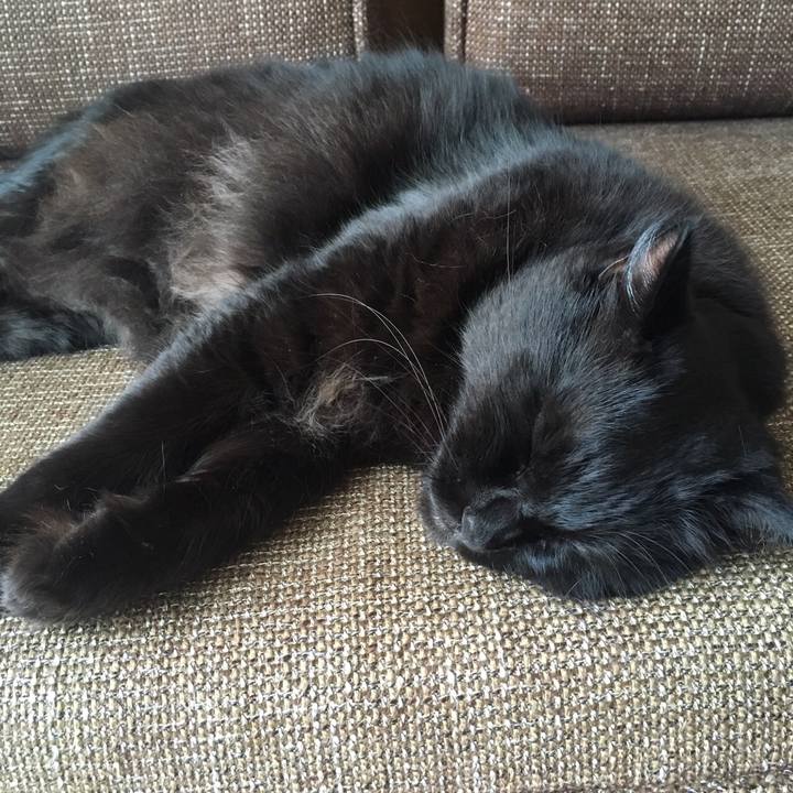 0459b75d 4353 43b2 8711 d37224b84e66