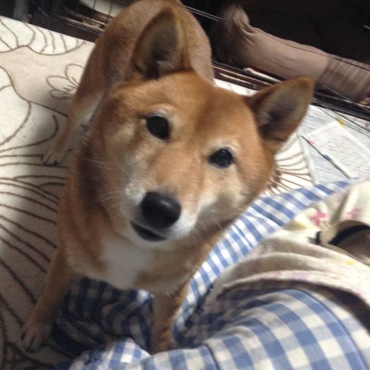 045a3629 0256 4082 ae87 1ef8f5f12a99