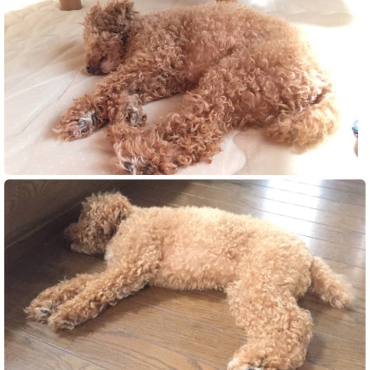 045a6602 b83b 4ffe a22e 0ed1eba37120