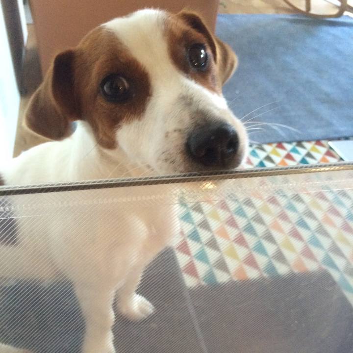 045a86d5 1c0a 4280 9524 622b779b582c