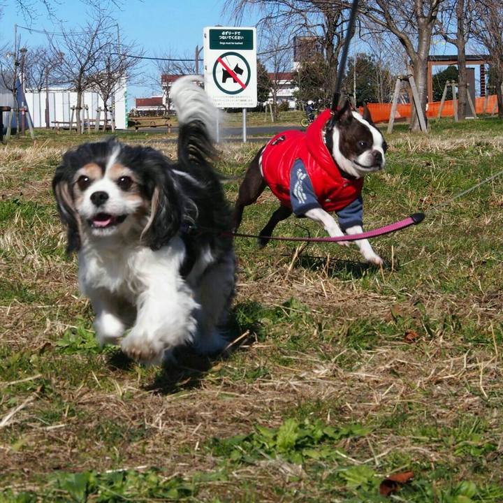 045b0ffe c804 4a5b 9000 66543a73bdae