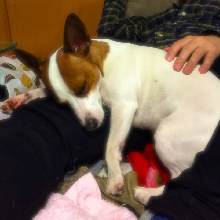 045b39ce 9ab2 4762 8a2e 73e52eaab7ce