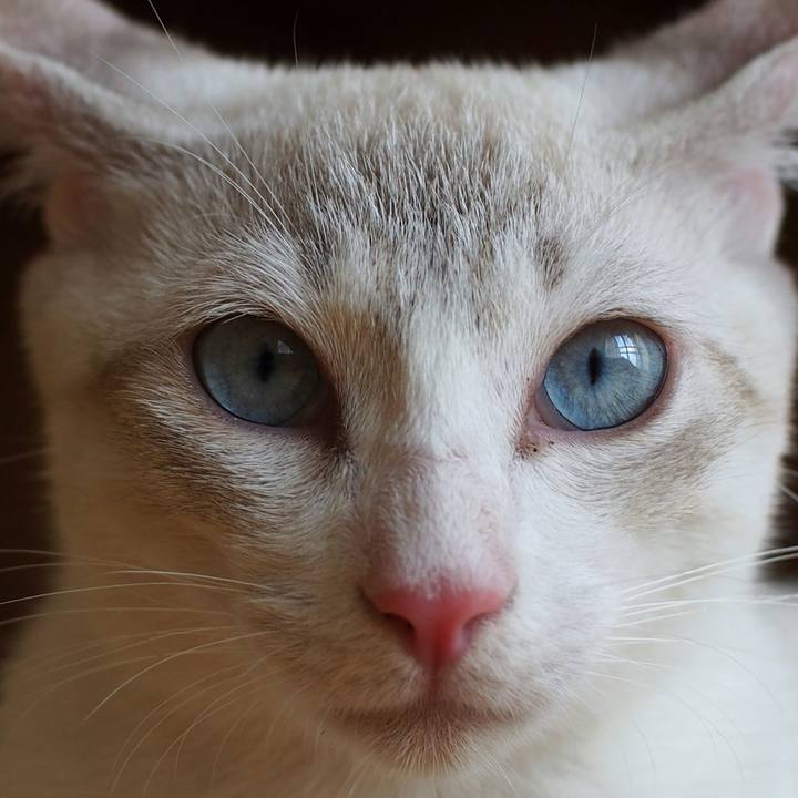 045bb438 2b44 4bf8 8c19 044ed52d8f4b