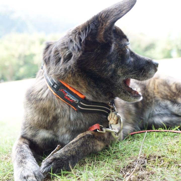 045bbf69 8a5a 41c1 9f14 913c2df46c47