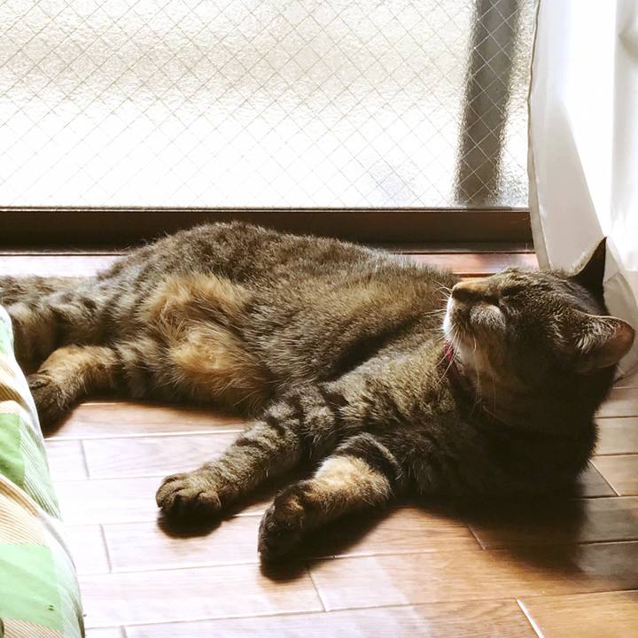 045bc131 5ba4 4d57 a36d 8ee6d17ec35f