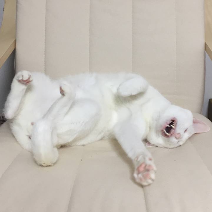 045bf53d 8591 4cec 9c73 b013492f1af5