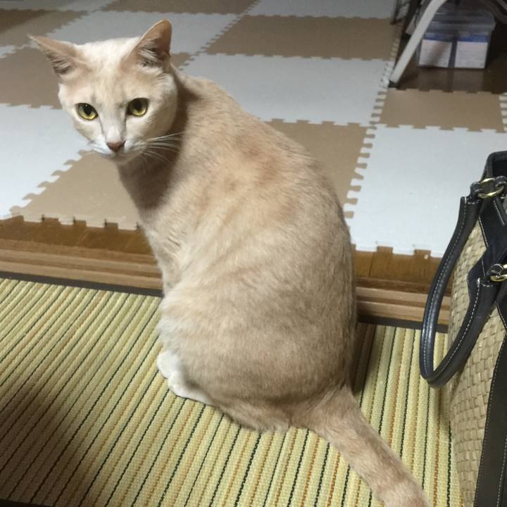 045c1bf0 b6af 4561 a6c9 2a318d131f46