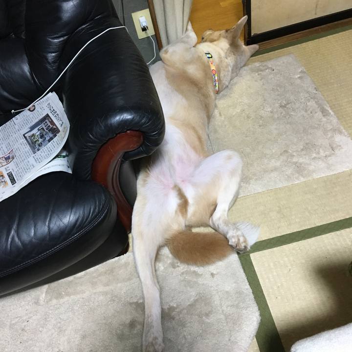 045c6966 d512 496d ad77 502587f8f83f