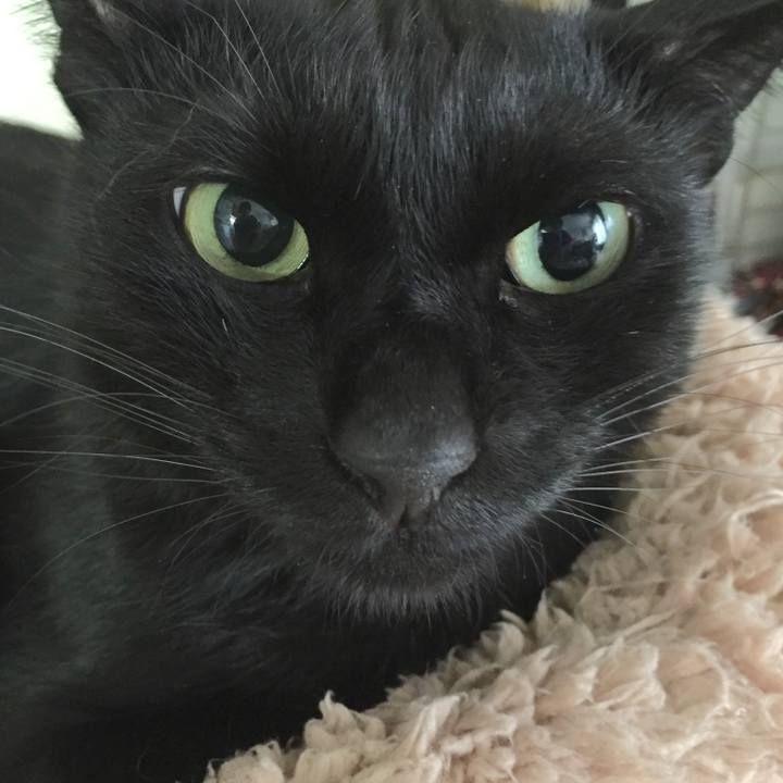 045c9c97 fe80 4b24 98ca b93c8970df58