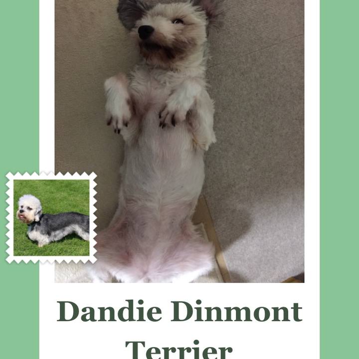 045cdd62 6de6 4fc9 bd14 393c2b56b399