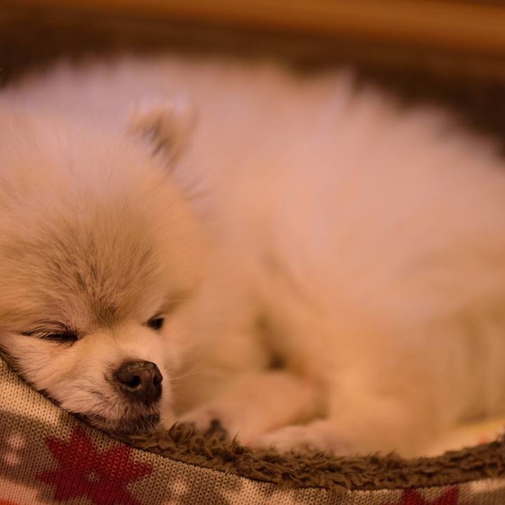 045dda59 a138 4565 bc77 ad9143fa0c76