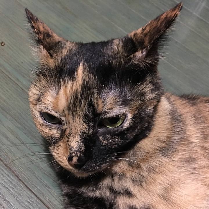 045df7dd 3e71 4bd2 bf69 38af8fca9750