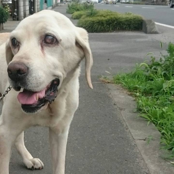 045e1c4e a8bb 4205 90d8 35b8d9097721