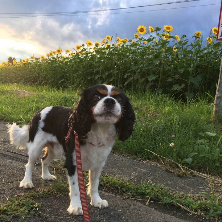 045ebc30 1a4a 4aab ae0f 37f2a85d4a8d