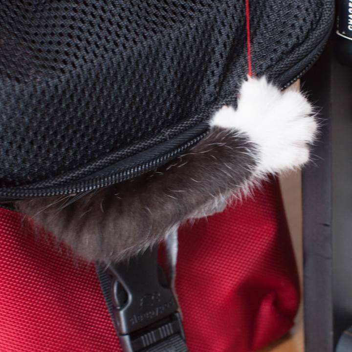 045f2b96 f583 4959 b18b f7324a92755a