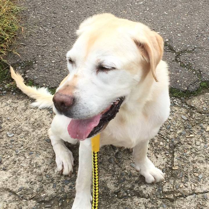 045f685e edba 4f5a abca 13d8767a0a87