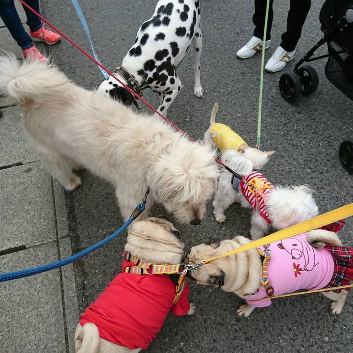 045fa542 78d3 45e3 b112 41c3c9a0e59d