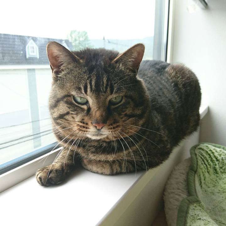 04603b3f 15a9 4024 8ff9 e5c1a5bfdfc1