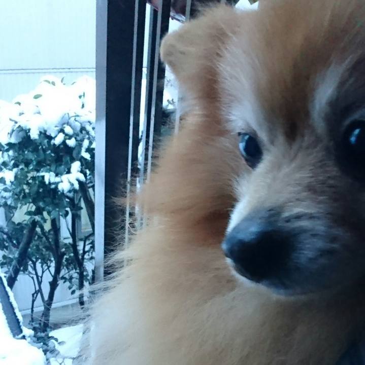 04603b52 ee0f 4377 a7f0 a8199f633f23