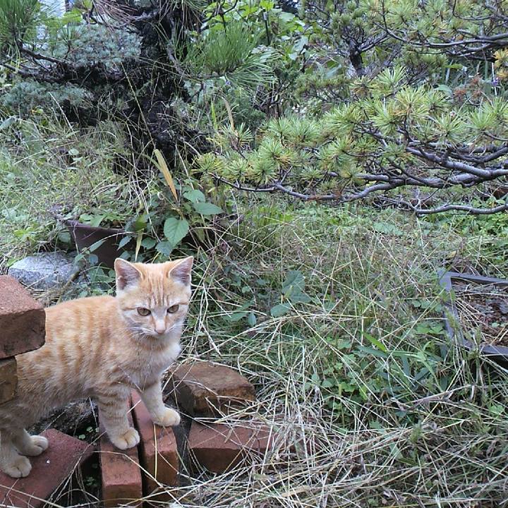 0460e5e0 b8e5 4baf 886c b48838bd160a