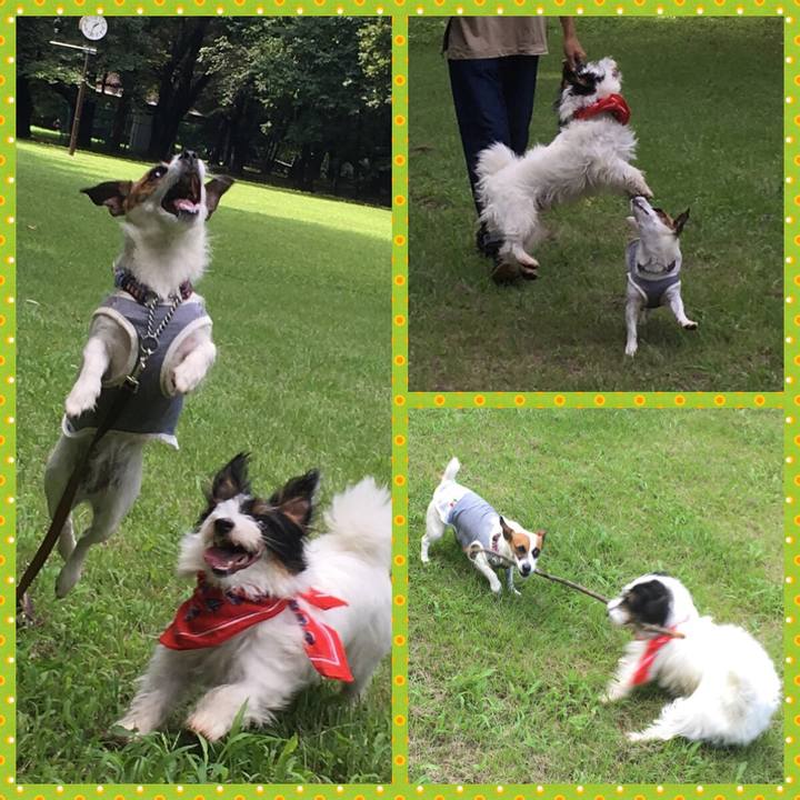 0460f220 fef7 4767 b9f8 7281dea1a52e