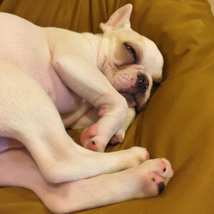 046157e7 1b55 4a91 bdd4 2feb0c3f542f