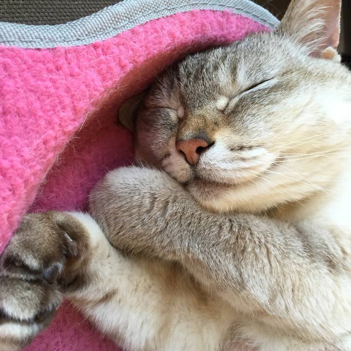 04615ca8 f6b1 4448 9850 e3bfa05cd84f