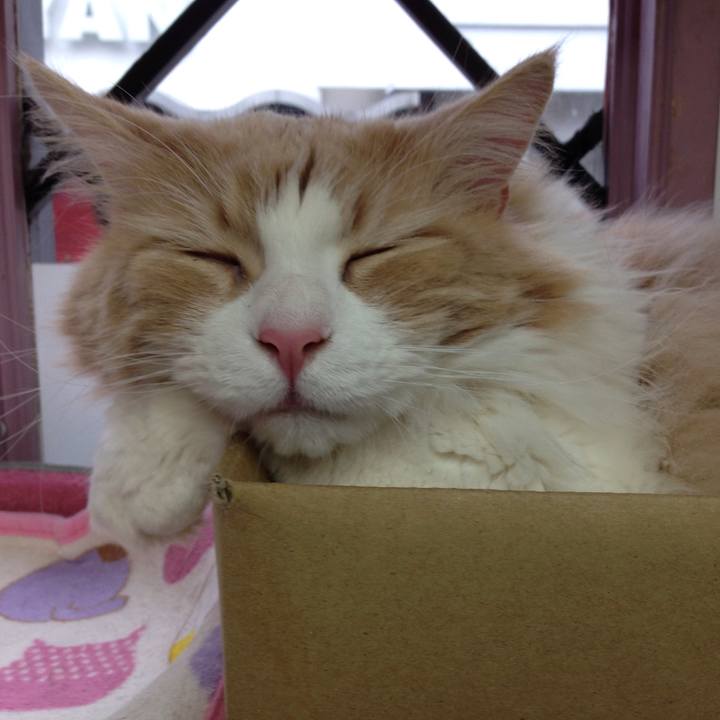 046179bc 5a9f 4134 bc0d 52f527f9c5bf