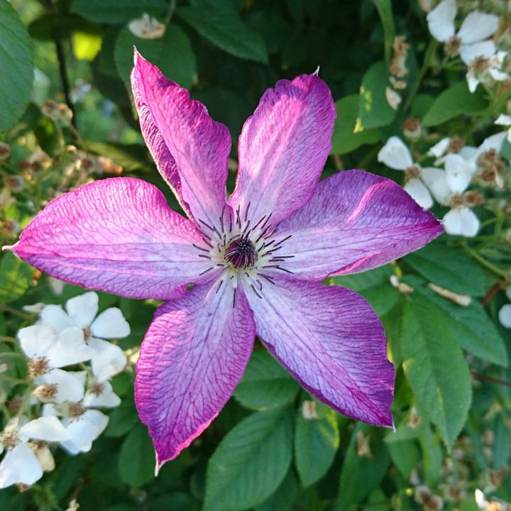 0461b9f3 9b93 476a 8b9f 1a5b9c44d027