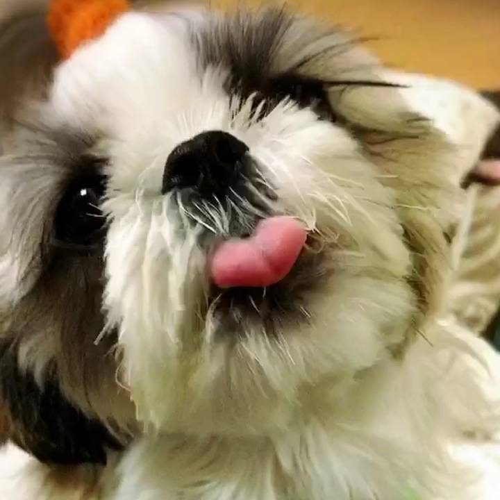 0461df45 00f1 49db a7c4 916dd067ec9e