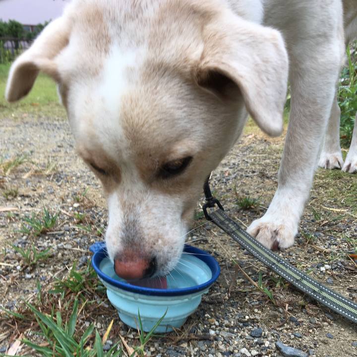 0461f2a1 5b01 417c a0f3 441f90f806f2