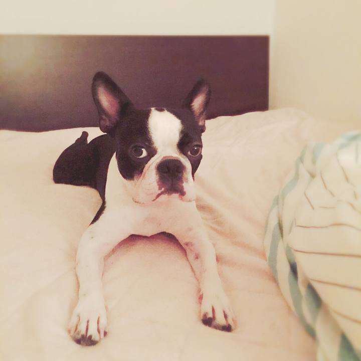 0462d919 8daf 4174 bbb2 668b43cd3b66