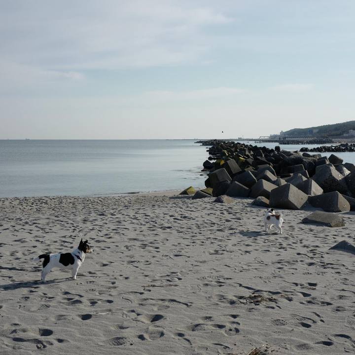 0462f494 c591 4bf1 b85b f4d30be408b5