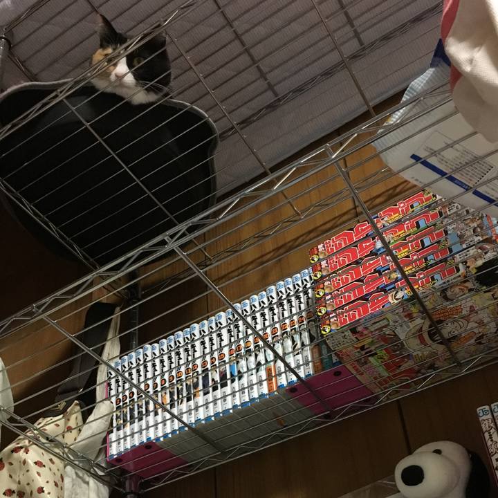 0462f9f0 49c1 46a9 b40e e20df21a3ca9